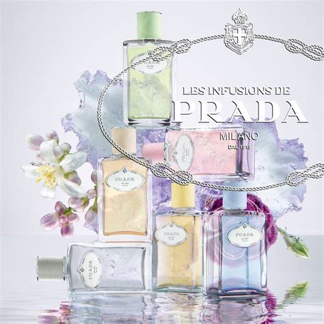 prada iris collection.